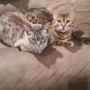 Meet your Posher, Bobby